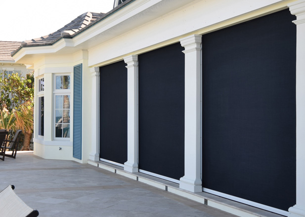 Pollen Custom Shades